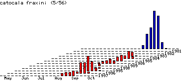 [fraxini-stats.gif]